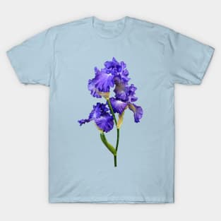 Triple Purple Iris T-Shirt